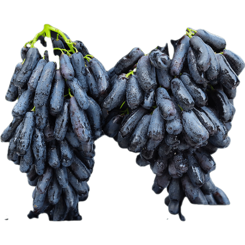 ��������������ʯ���ѽ���ָ���� ���������� ����ʱ������ˮ��������� ��ѡ��װ�� 2�� +�������Ѵ� 49.9Ԫ