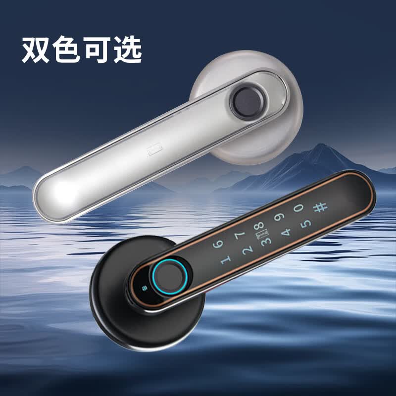 英可语音导航指纹密码锁 家用房门智能锁办公室卧室电子密码房门锁 语音双舌涂鸦蓝牙款（自主安装）