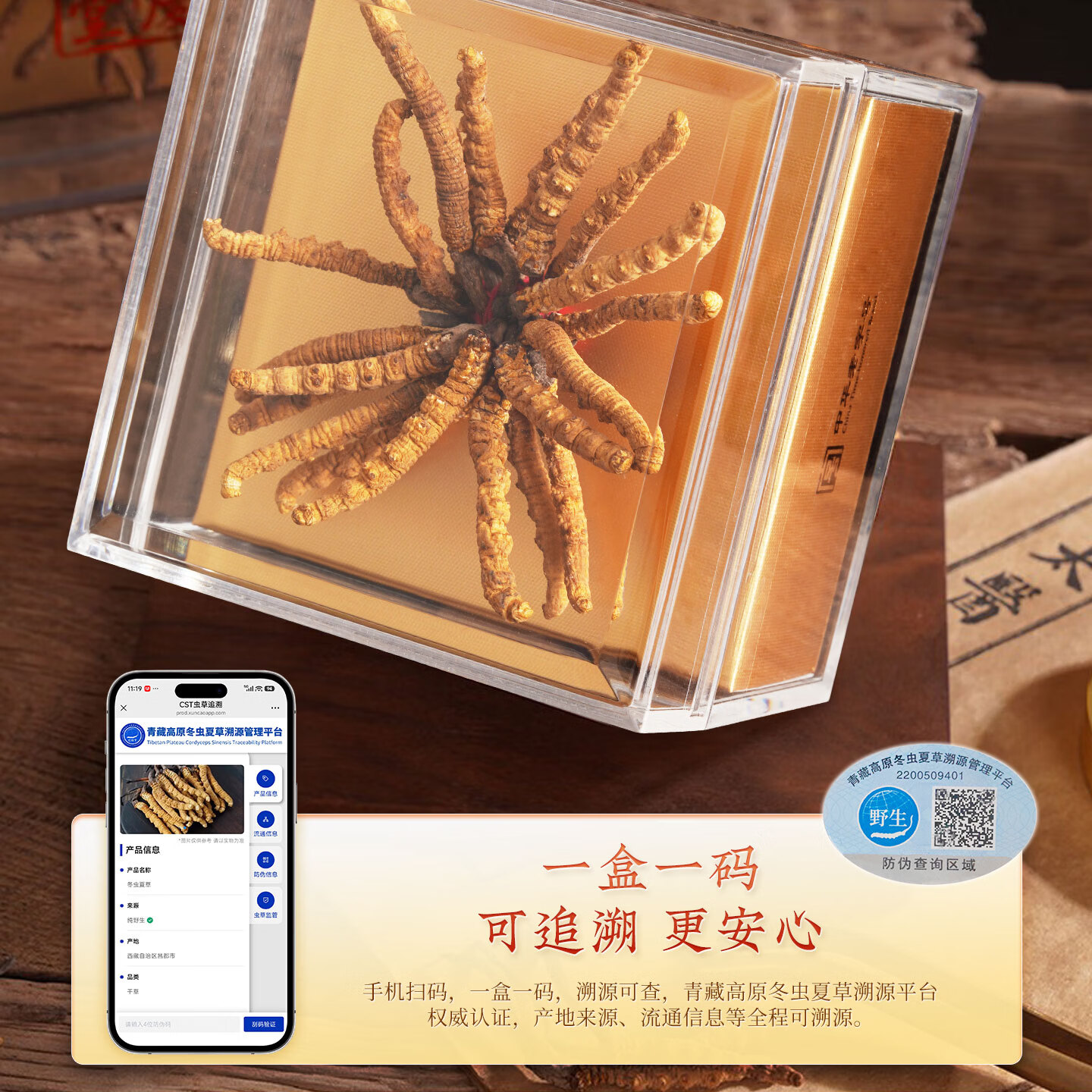 胡庆余堂冬虫夏草5g扎花盒装天号4000可溯源西藏高品质节日礼物营养滋补品 【天号4000】 5g*1盒 (新升级款)