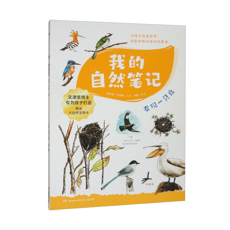 我的自然笔记· 发现一只鸟 文津图书奖得主芮东莉领衔创作 自然科普+可爱手绘+观察实验+趣味记录 专为7-14岁孩子创作的“自然笔记” 我的自然百宝箱  童书 儿童百科全书 