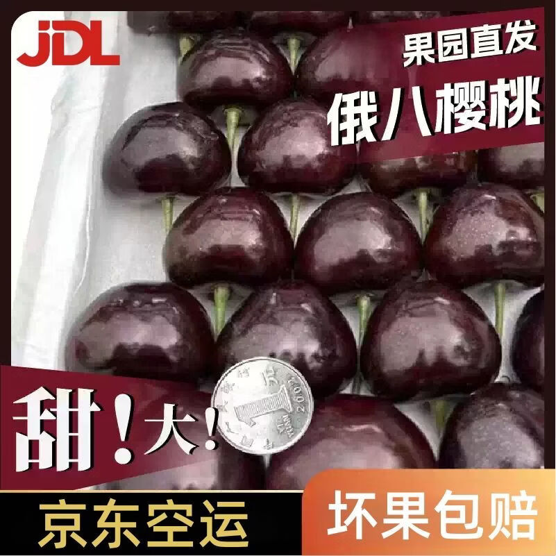 正宗俄罗斯八号大樱桃新鲜现摘果大饱满脆甜多汁当季鲜果整箱发货 3斤(净重) 特大果 28-36单果约15-22g