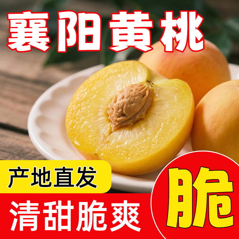 顺丰包邮襄阳现摘黄桃应季鲜果脆甜多汁产地直发整箱装专属 4.5斤大果(单果约180g左右,约12个及以内)