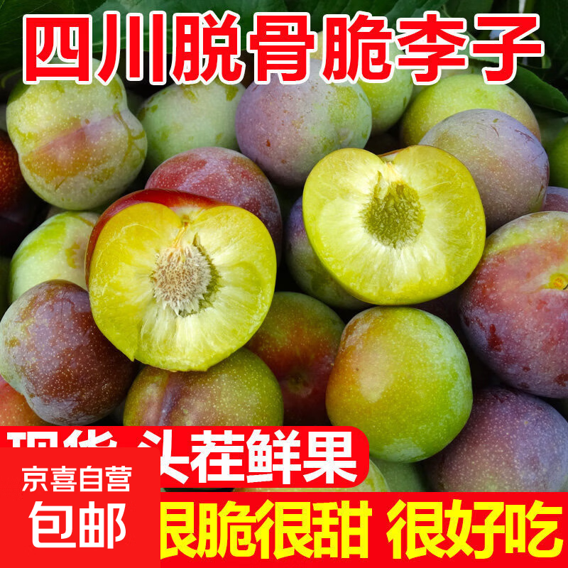 京喜加四川李子新鲜水果脱骨李子现货茵红李当季5斤脆甜半边红整箱包邮 大果（30g＋）带箱5斤装