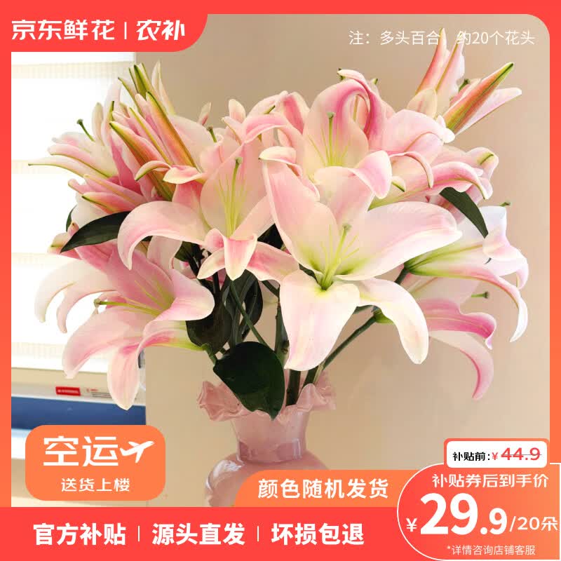 京东鲜花AB级20朵随机色百合鲜花节日礼物送女友送爱人源头直发