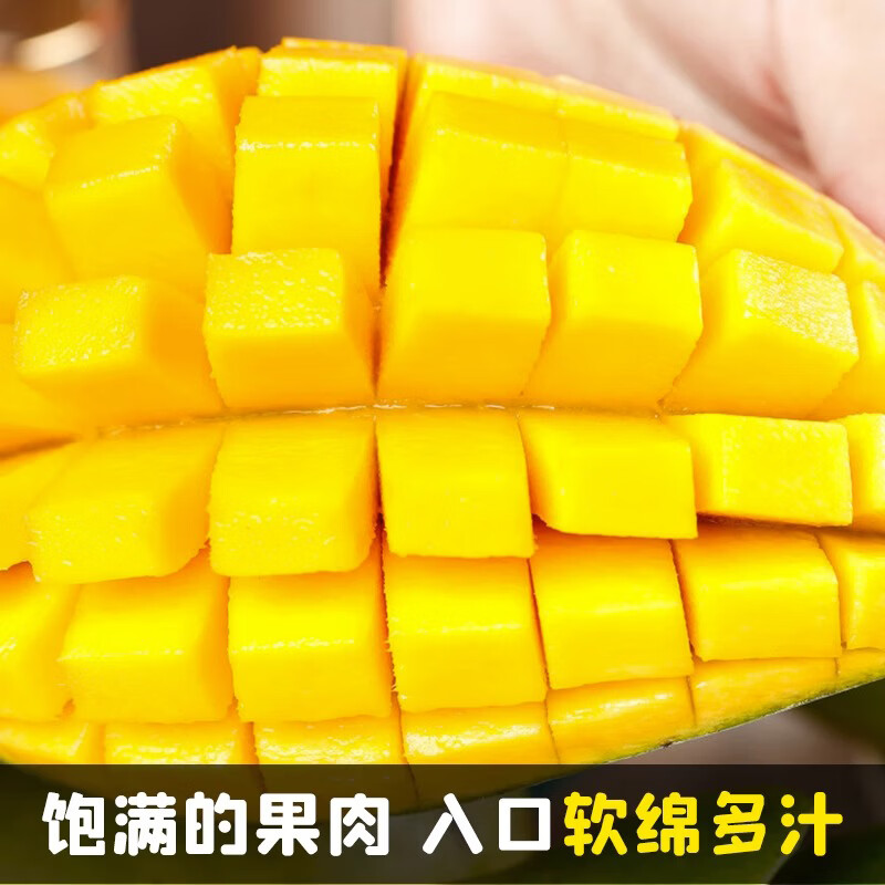 落沙园攀枝花凯特芒新鲜水果香甜可口肉厚多汁大果现摘现发 9斤分享装[多人分享装-较划算]净8.5斤 A+级精选大果[单果300g+]甜