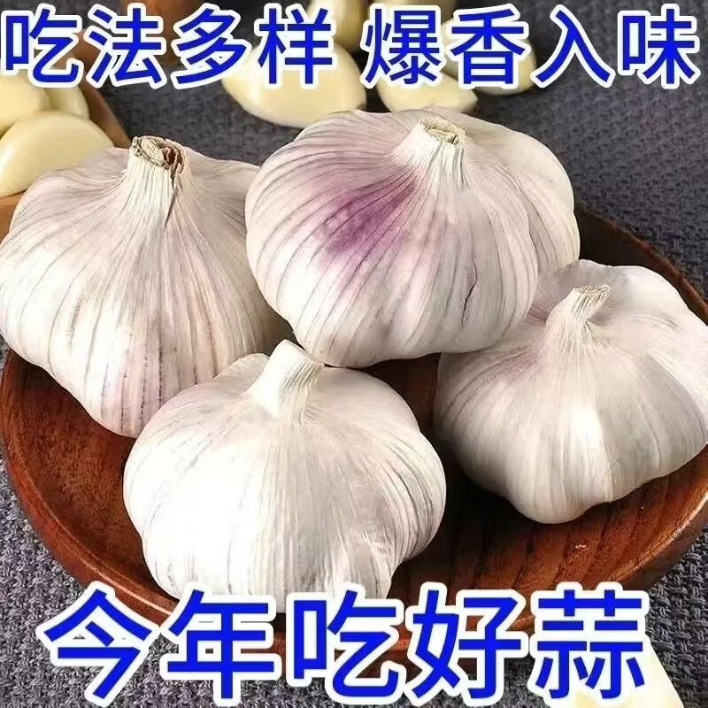 新鲜干大蒜正宗山东新干大蒜大蒜紫皮大蒜产地直发蒜香十足 产地直发蒜香十足 带箱五斤
