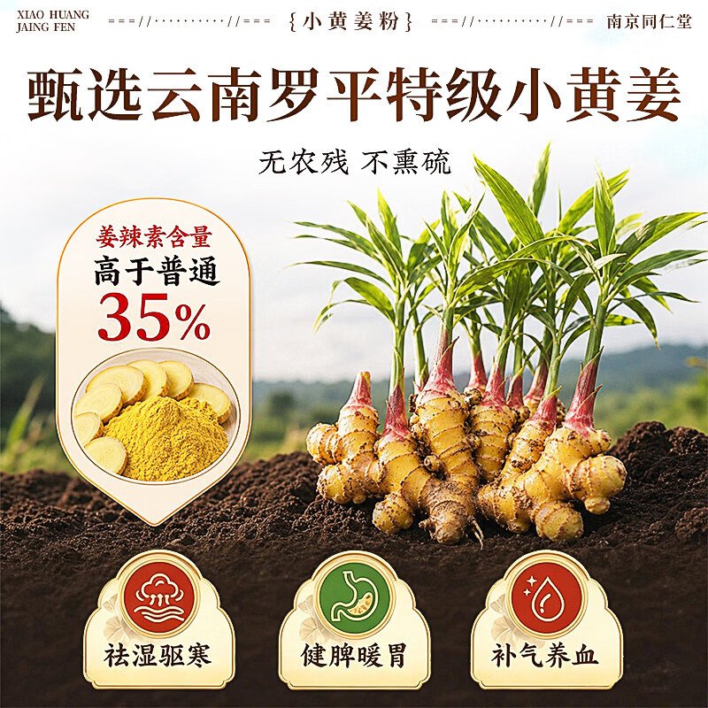 南京同仁堂小黄生姜粉云南纯姜粉九蒸九晒三伏去寒湿气有机无添加200g姜味足 够细够纯 拒绝添加纯小黄姜粉 200g*1罐