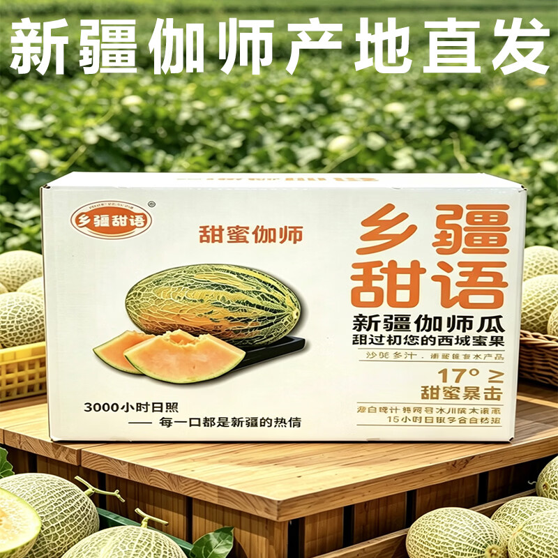 乡疆甜语新疆地标产品特色伽师瓜哈密瓜新鲜水果哈蜜瓜网纹瓜新鲜蜜瓜 【京东包邮】6-8斤装1枚装【高品质送礼装】