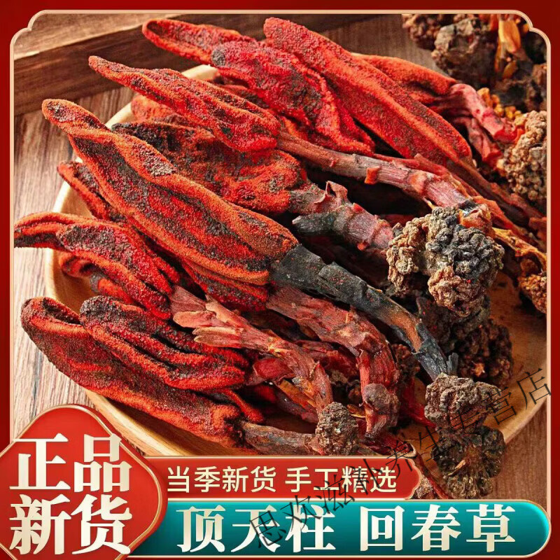 同仁堂特级云南深山回春草顶天柱文王一支笔强精健骨无硫泡酒水 强筋健骨能泡10-11斤 500g*2包