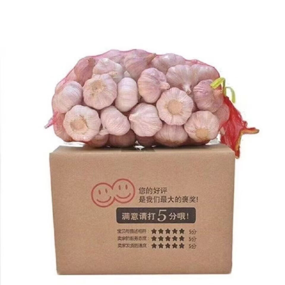 新鲜干大蒜正宗山东新干大蒜大蒜紫皮大蒜产地直发蒜香十足 产地直发蒜香十足 带箱五斤