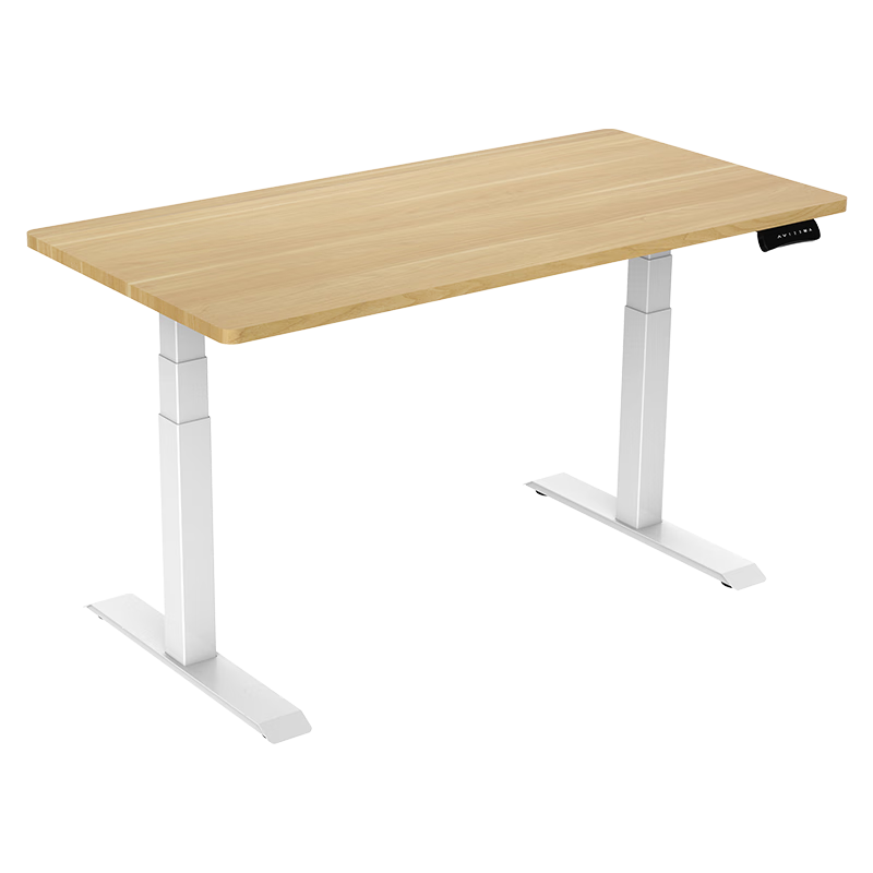 乐歌（Loctek）电动升降桌智能电脑桌站立办公简约实木家用书桌双电机E5N/E5X 【E5N】白桌腿+灰木纹桌板 1.2*06米桌板