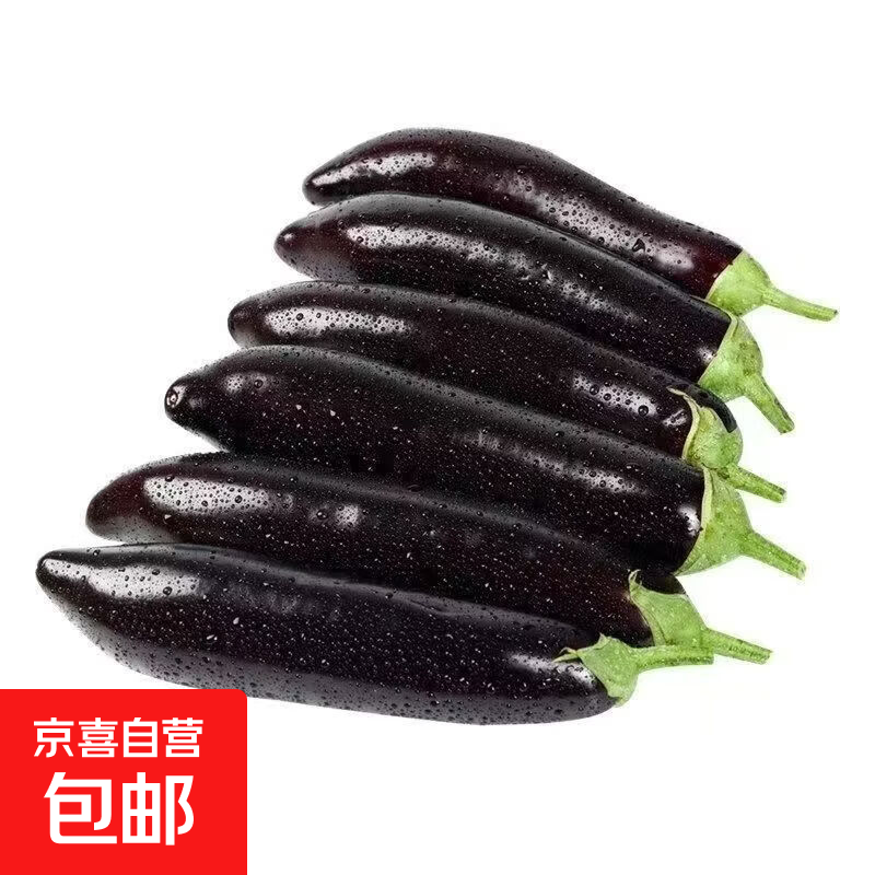 【山东特产】新鲜紫长茄黑长茄当季蔬菜烧烤茄盒红烧茄子擂椒茄子 茄子5斤 5斤
