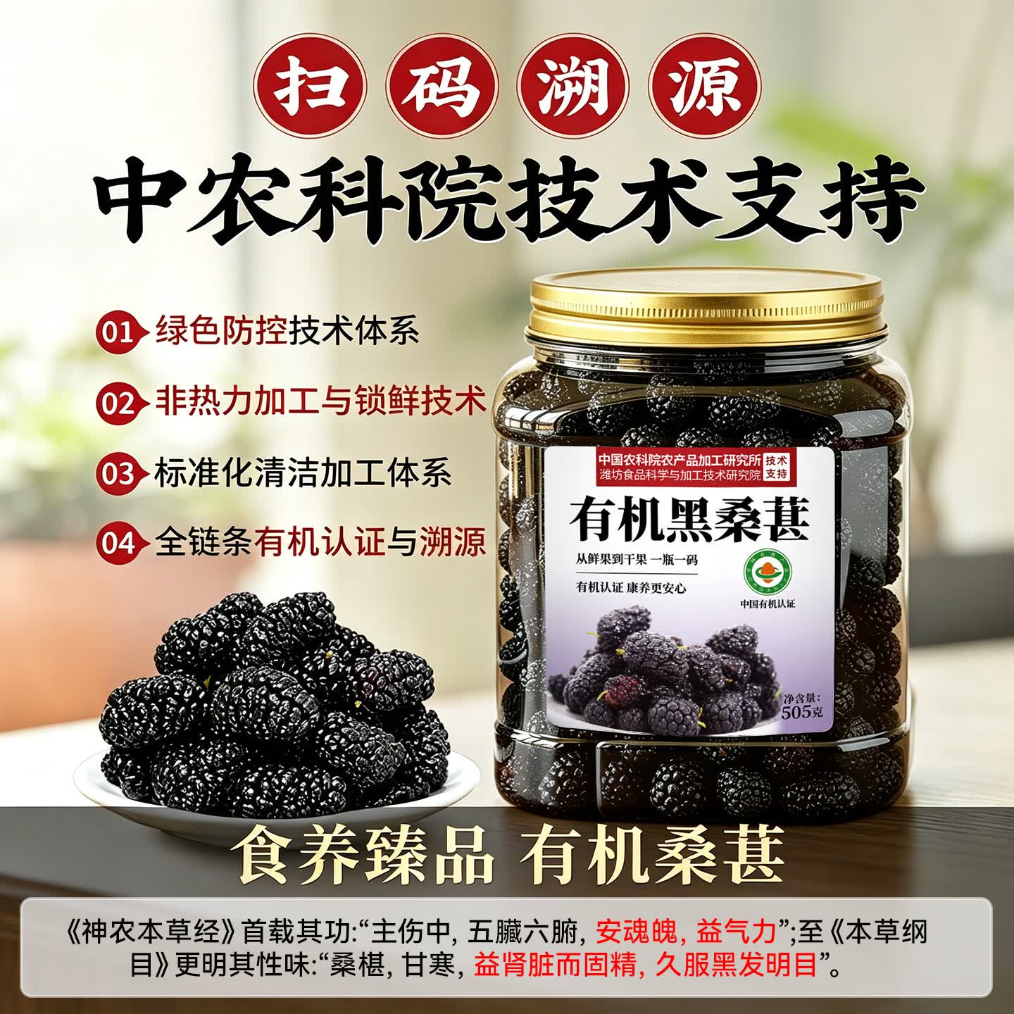 优卓桑葚干黑桑椹特级新疆原产有机黑桑葚干中药材泡水泡酒泡茶专用 【有机黑桑葚】农科院认证力荐 505g*1罐