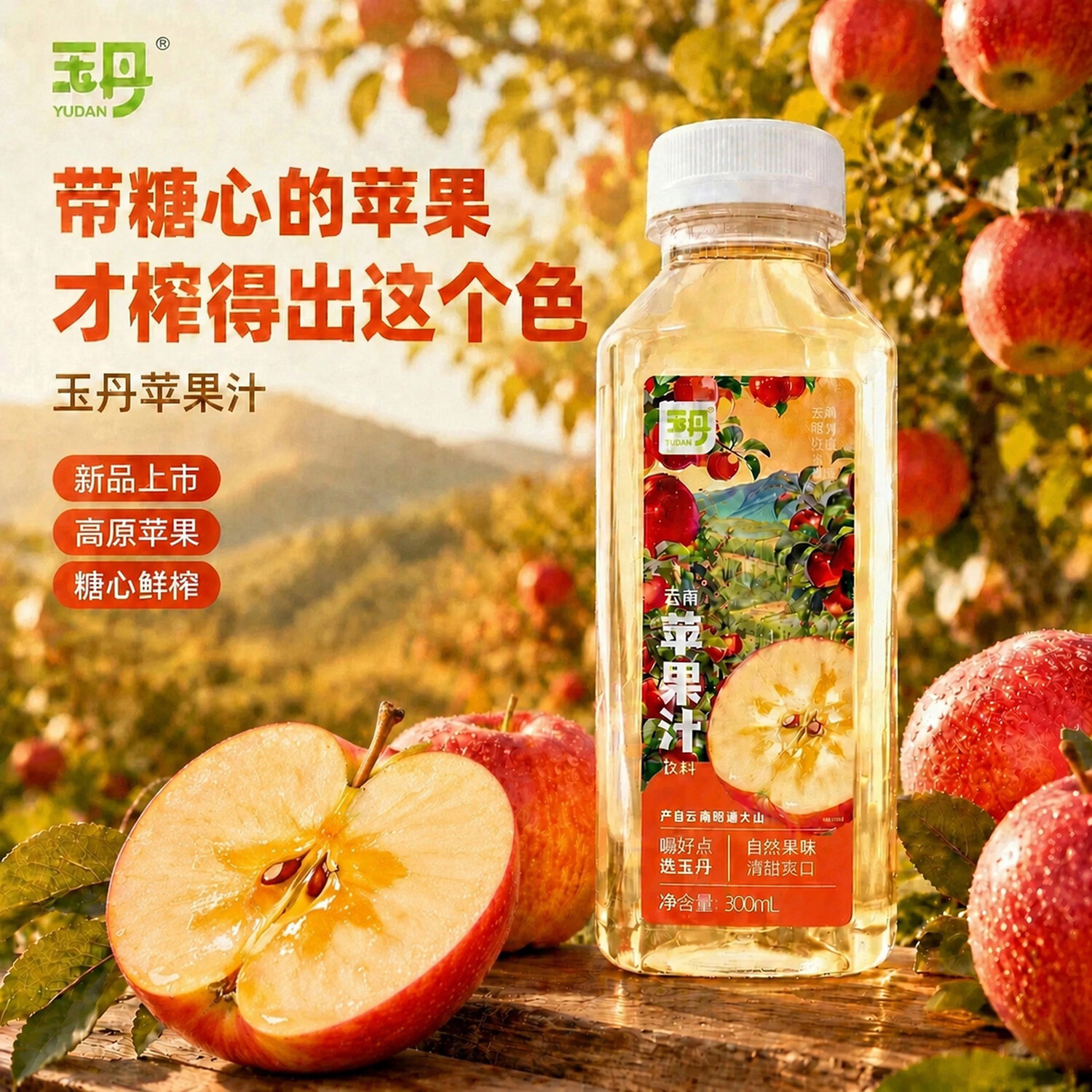 玉丹云南昭通苹果汁饮料餐饮烧烤酒店外卖果汁厂家直销小瓶装特产 玉丹苹果汁饮料300ml*12瓶【整箱更优惠】