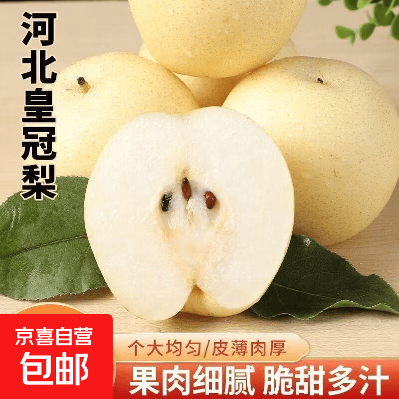 京喜加河北赵县白皇冠梨新鲜水果黄冠梨精品水果 带箱2斤装【单果150g+】小果试吃