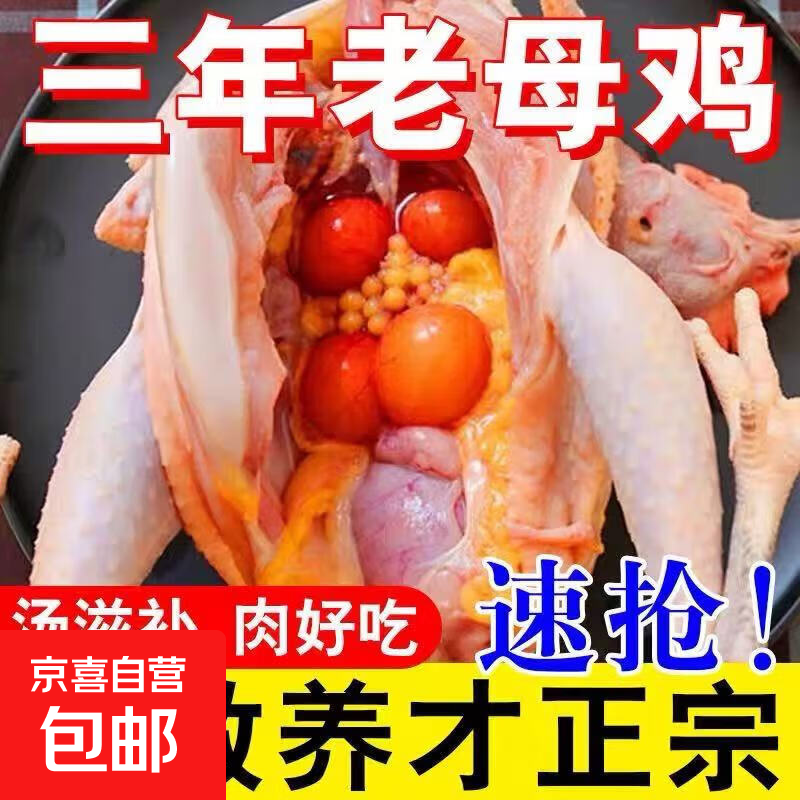 老母鸡正宗3年土鸡农家散养鸡现杀新鲜鸡肉鸡腿鸡胸肉整鸡净重 2.5-3斤老母鸡【带内脏黄油】 1只送货上门