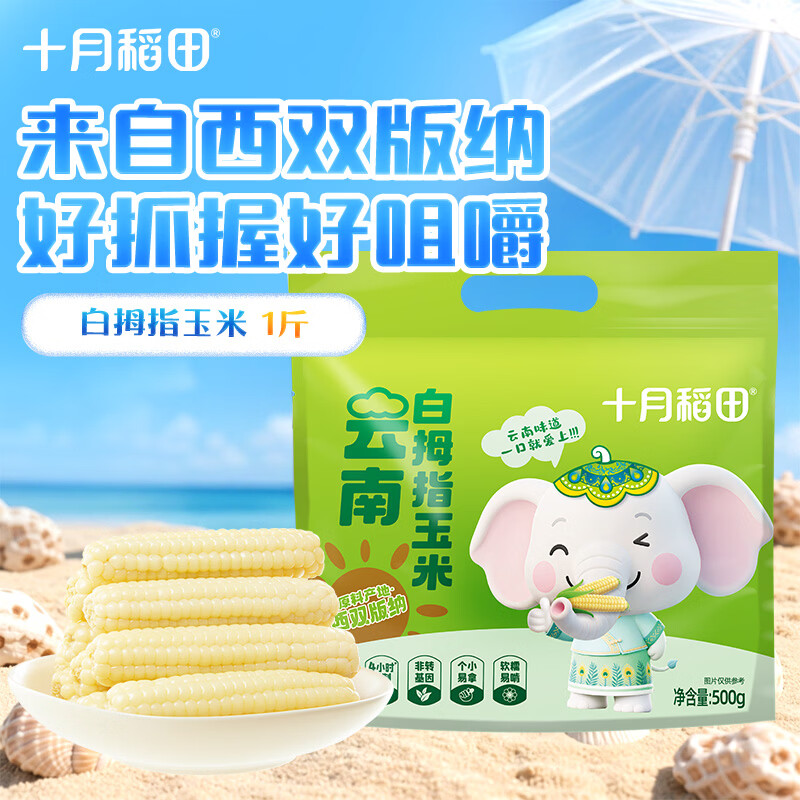 十月稻田 白拇指玉米 1斤(8~12根) 手指小玉米 真空 儿童早餐 西双版纳