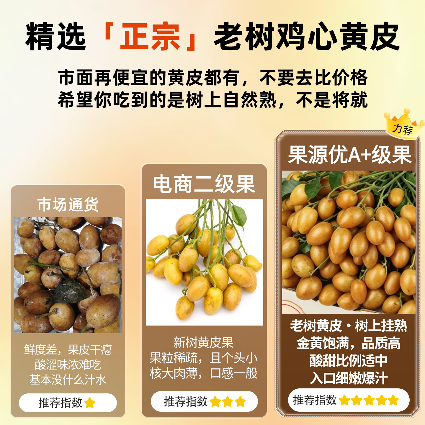 三萌果蔬广东鸡心黄皮果【顺丰冷链闪送】当季特产新鲜水果节日送礼 10斤精选装【冰糖心黄皮-纯甜无酸】净重8斤 S+级臻品果【品质升级】冷链速发
