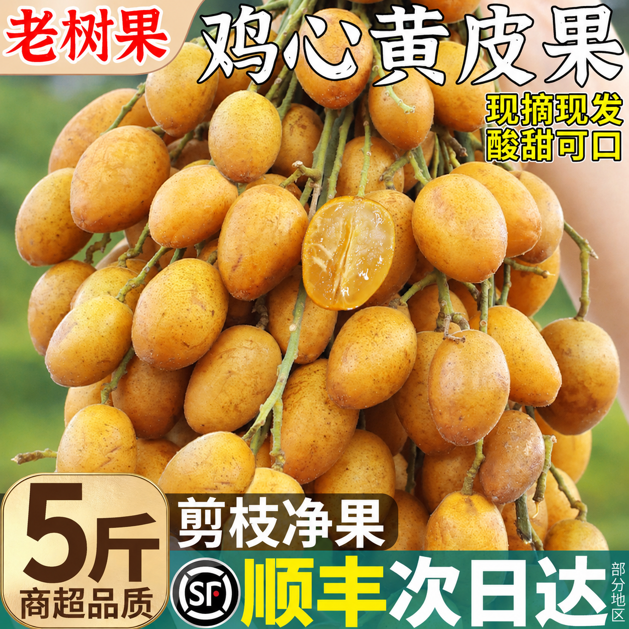 甜萌果蔬广东鸡心黄皮果【顺丰闪送-多地次日达】无核新鲜特产水果送礼 鸡心黄皮果【酸甜多汁】 3斤尝鲜装【当季尝鲜-较划算】净重2斤