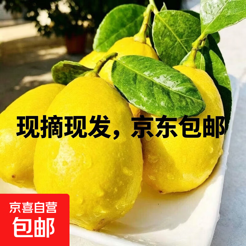 京东包邮直达果园现摘黄柠檬新鲜天然鲜果酸甜柔和不涩口奶茶店 广东香水黄柠带箱5斤单果65g+
