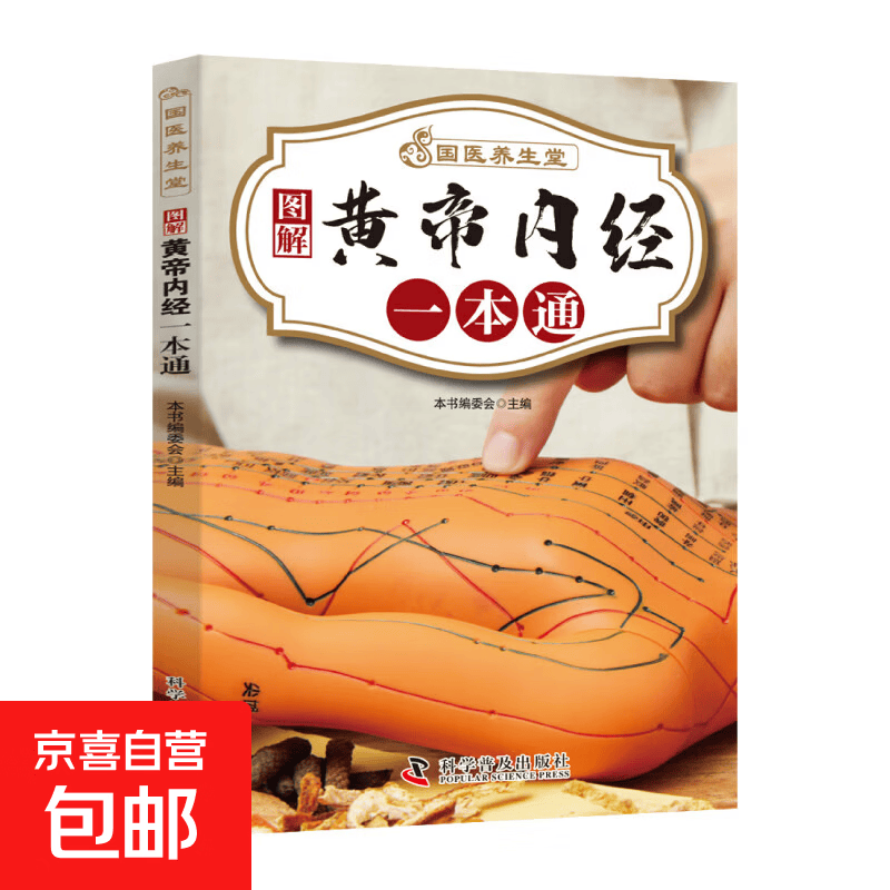 国医绝学百日通系列 —手足按摩治百病等 图解养生经典套装 中医经络穴位针灸艾灸拔罐中医养生书籍大全 黄帝内经一日通 无规格