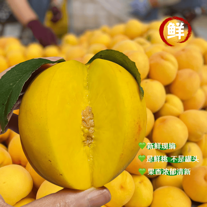 顺丰包邮襄阳现摘黄桃应季鲜果脆甜多汁产地直发整箱装专属 4.5斤大果(单果约180g左右,约12个及以内)
