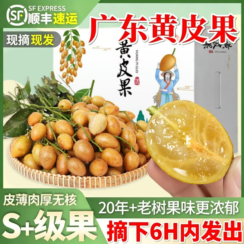 山姆大叔广东鸡心无核黄皮果【顺丰闪送-多地次日达】新鲜端午节水果礼盒 5斤装 【家庭畅享装-狠划算】净重4斤 9A级至尊果送礼推荐（保温箱装）