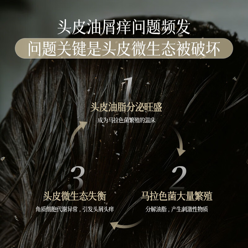 BOUQUET GARNI NARD去屑止痒洗发水控油清洁清爽茶树迷迭香【韩国原装进口】 去屑止痒洗发水（茶树迷迭香）500ml