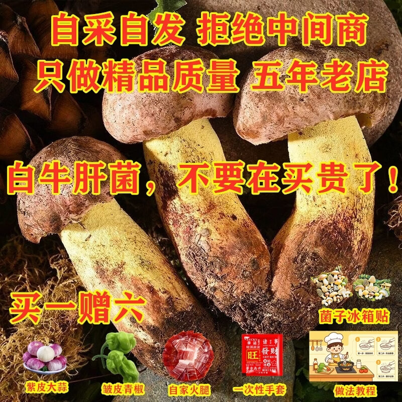 野生菌见手青牛肝菌新鲜现采顺丰空运粉菌白葱云南野生菌蘑菇2026 510g一斤精品质量装