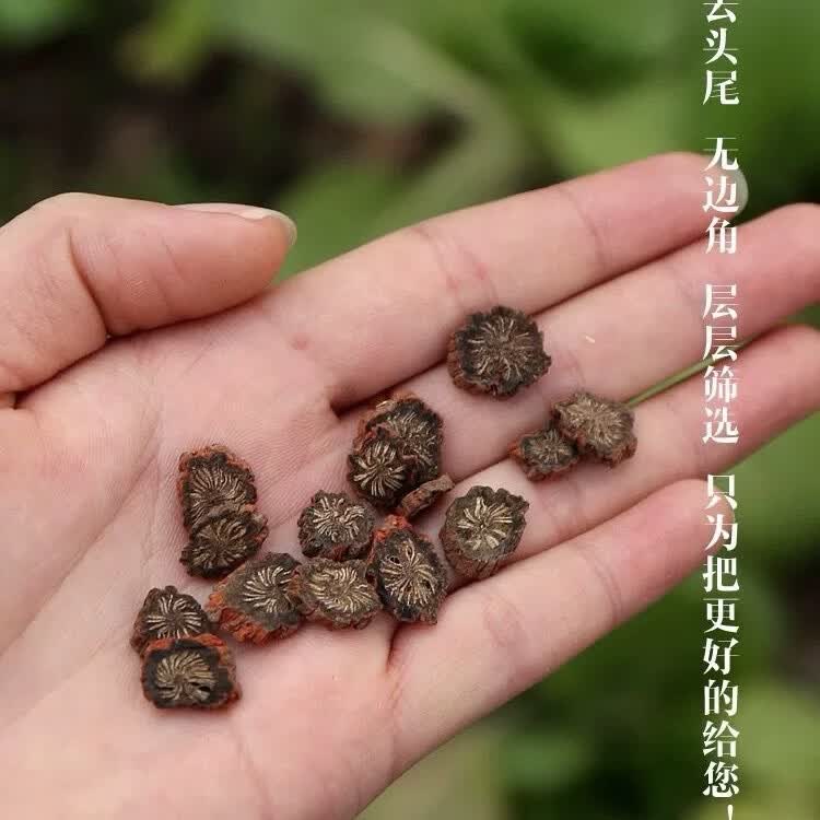 野生紫丹参丹参中药材正品泡水干货养生茶 正宗发汗紫丹参 500g*1袋 (高丹参酮)