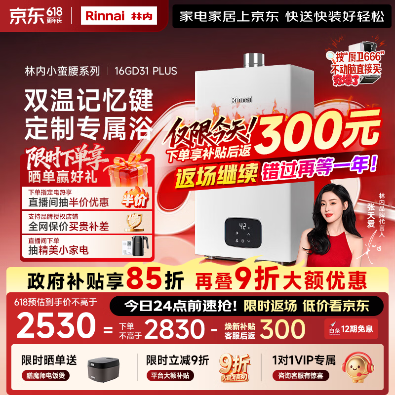 林内（Rinnai）【小蛮腰Plus】16升家用燃气热水器 一键智能切换 超窄机身 恒温热水器上门安装（16GD31Plus）