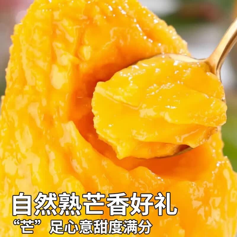 译蒙之味四川攀枝花凯特芒果 新鲜水果特大芒果礼盒中秋送礼 9斤大果【300克+】净重8.5斤