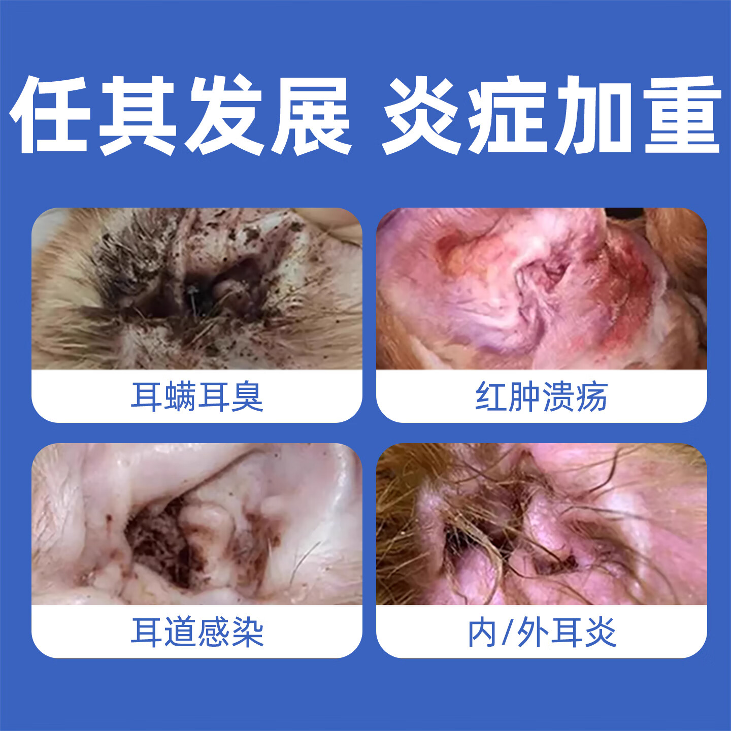 阳光鸟复方制霉菌素宠物耳螨软膏猫咪犬耳肤灵去耳螨耳炎专用药 复方制霉菌素软膏 10g*1盒