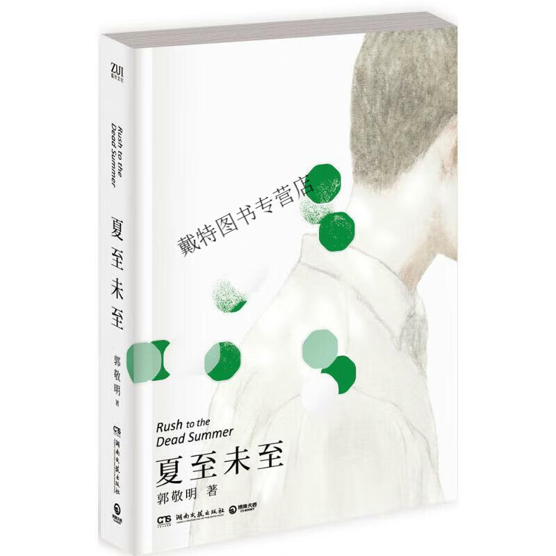 正版 夏至未至 十年纪念珍藏版 郭敬明 陈学冬主演电视剧 青春文学王国作品 现当代青春言情小说 郭敬 小说 郭敬 小说 郭敬