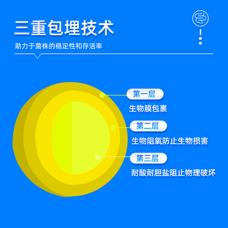 拜曼20联益生菌大人小孩肠胃女人老人肠道益生元冻干粉12000亿活菌 20袋*3盒