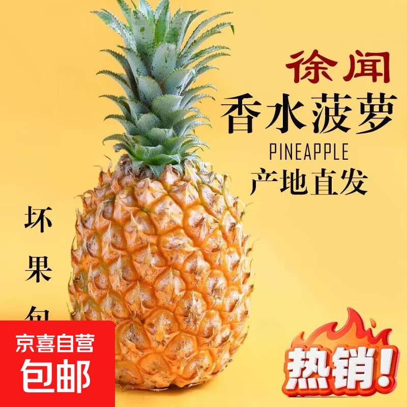 京喜加【精选大果】广东徐闻菠萝新鲜水果湛江香水菠萝树上熟爆汁大菠萝 1个装试吃 净重500g