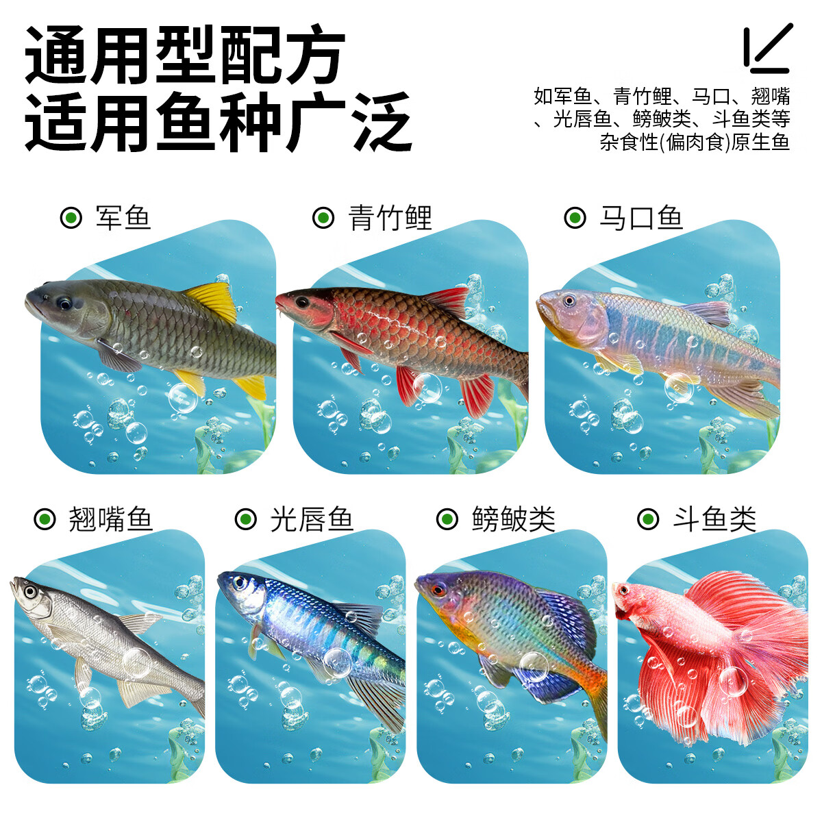 军鱼青竹鲤马口翘嘴斗鱼鳑鲏专用饲料高蛋白缓沉型鱼食虾青素鱼粮 40%蛋白-育成小颗粒(≈1.7mm)1kg*1袋