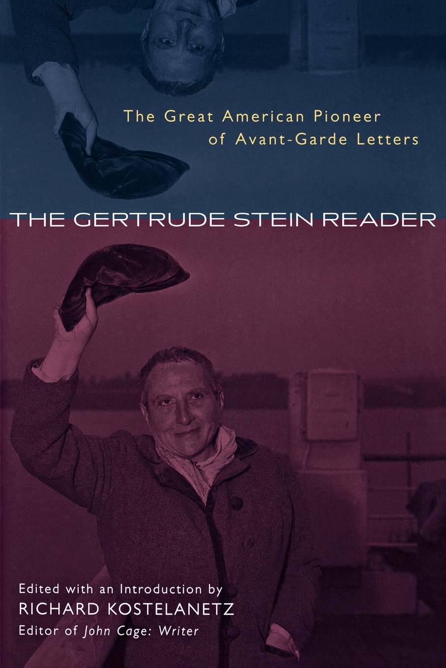 预售 按需印刷the gertrude stein reader