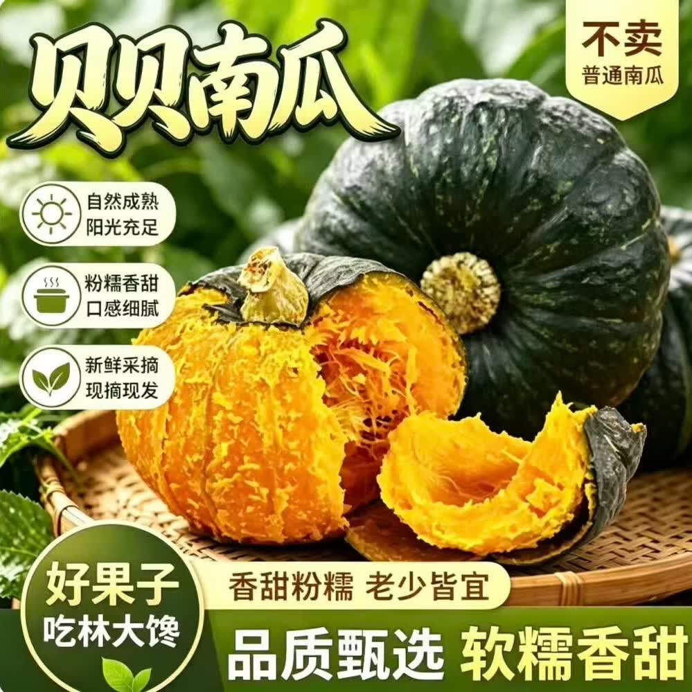 林大馋正宗贝贝南瓜板栗味新鲜日期宝宝辅食粉糯香甜小南瓜新鲜蔬菜代餐 【真贝贝 蒸不水】净 4.5斤 【 精品单果250g+ 饱满不瘪】