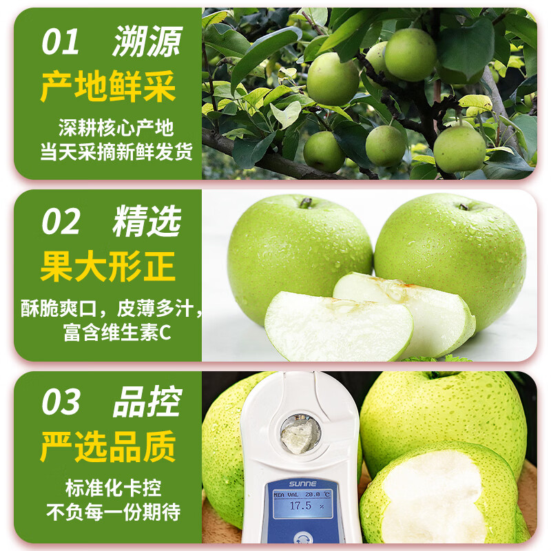 土八鲜安徽砀山梨当季新鲜水果翠冠青酥梨苏翠1号梨孕妇 家庭装净重8斤(超值囤货)