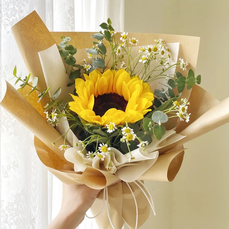 送向日葵给女孩子代表什么意思的简单介绍