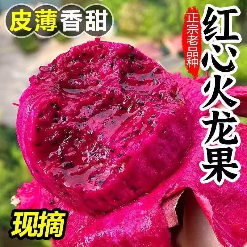 单果300g起】金都一号红心火龙果当季甜红肉正宗应季热带水果批发 净重4.5斤 300g-400g中果