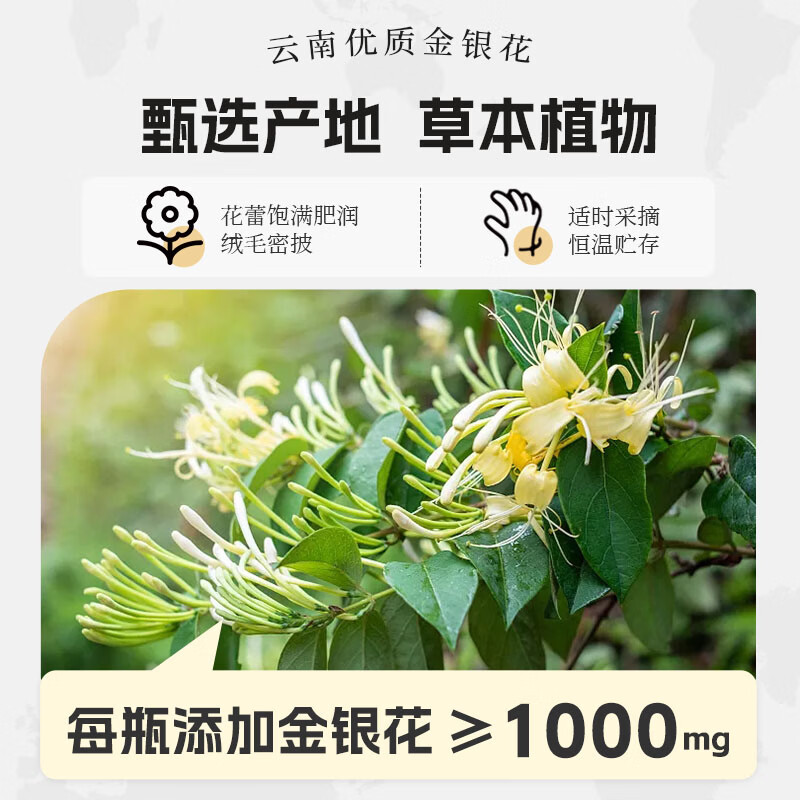 轻上果汁含量饮料橙汁苹果汁葡萄汁果汁饮品年货饮料送礼礼盒 金银花凉茶245ml*10
