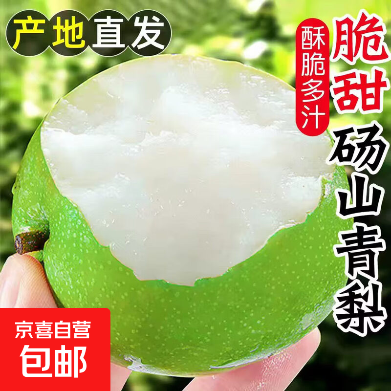 【砀山蜜梨】现摘现发老树头茬苏翠一号青冠蜜梨青梨酥脆多汁包邮 青梨大果带箱9斤净重8.5单果233g
