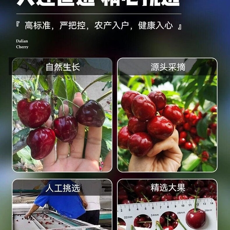 正宗俄罗斯八号大樱桃新鲜现摘果大饱满脆甜多汁当季鲜果整箱发货 3斤(净重) 特大果 28-36单果约15-22g