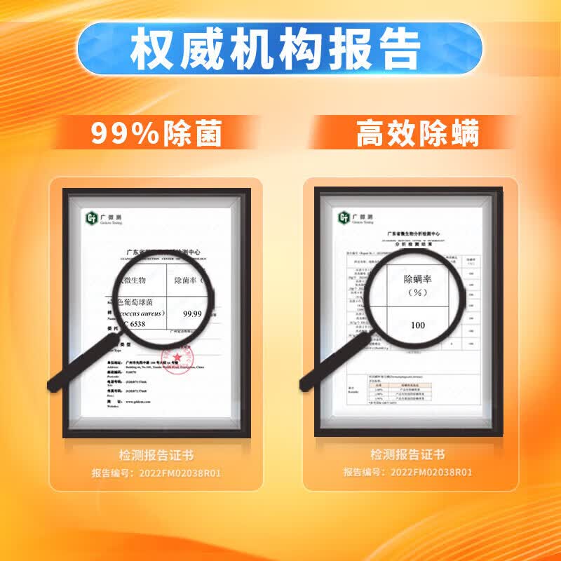 汰渍洗衣液强洁净力去除深层污渍 除菌除螨 2袋 500g 全效升级洗衣液