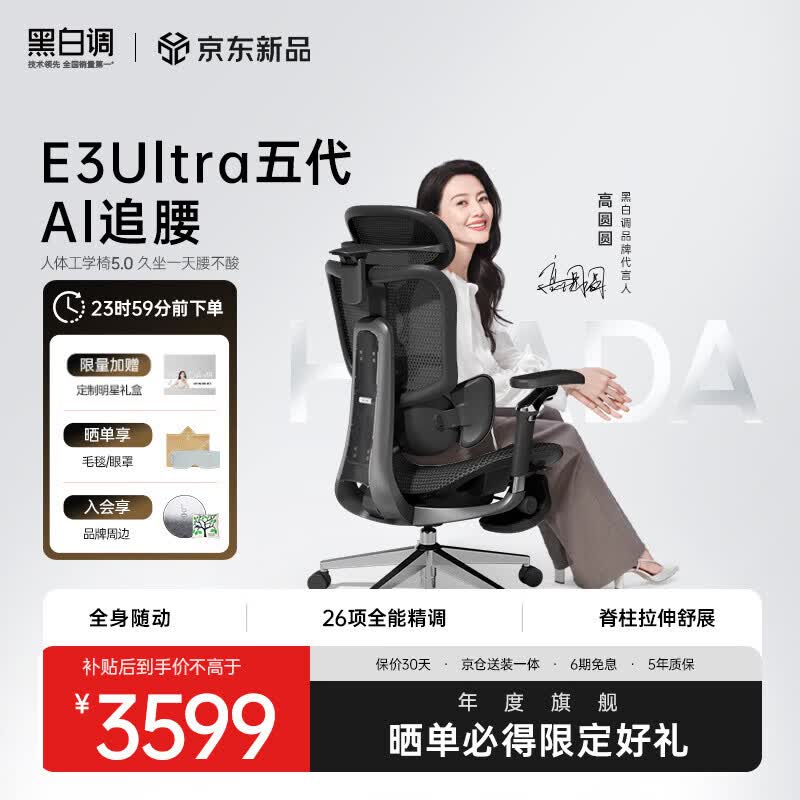 黑白调E3 Ultra五代AI追腰 人体工学椅 电脑椅子办公椅人工力学座椅 E3Ultra 五代 AI追腰 曜石黑