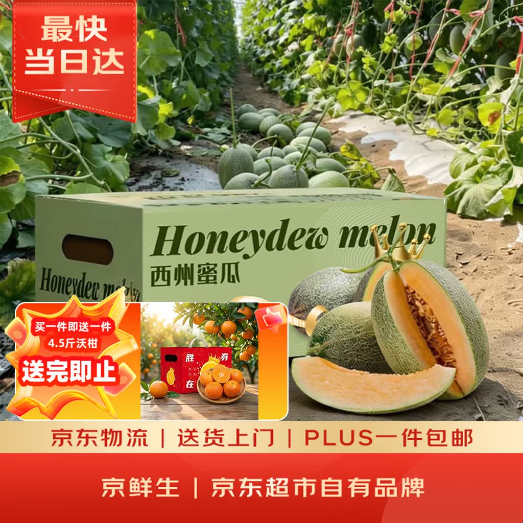 京鲜生哈密瓜西州蜜2粒共5-7斤礼盒 赠沃柑4.5斤礼盒 29.9元 - 86线报