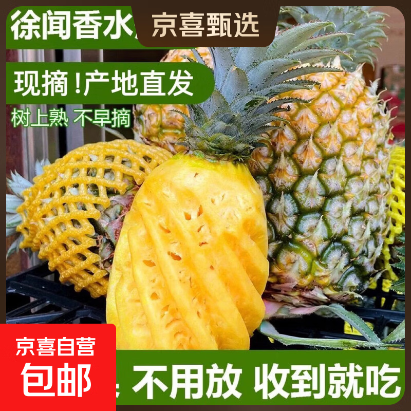 京喜加【树上熟收到即食】正宗广东徐闻菠萝当季水果生鲜非凤梨大菠萝 【中果1个装】单果650g起-净重1.3-1.8斤