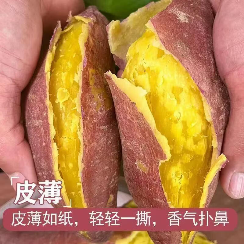 林大馋陕西正宗新鲜板栗红薯蜜薯 现挖粉糯番薯地瓜 粉面薄皮香甜糯蔬菜 5斤精选中果【净4.7斤起】单果125g起 粉糯香甜秦薯5号 秦岭产地直发-普通人没吃过的品种